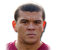 FIFA 10 Wilfred Bouma 79