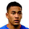 FIFA 13 Tyias Browning 49