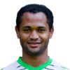 FIFA 14 Raffael 83