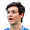 FIFA 14 Lewis Dunk 69