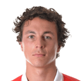 FIFA 15 Julian Baumgartlinger 75