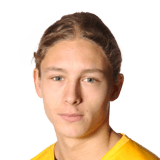 FIFA 15 Anton Andreasson 54