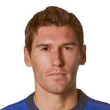 FIFA 15 Gareth Barry 80