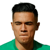 FIFA 17 Fernández 61