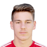 FIFA 18 Anes Osmanoski 48