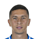 FIFA 20 Robert Žulj 72